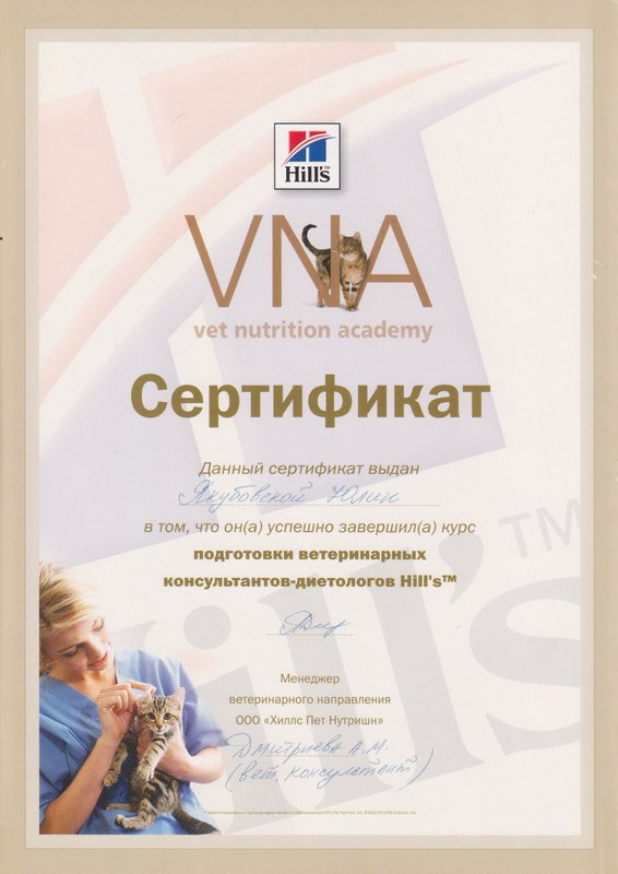 Документ или сертификат