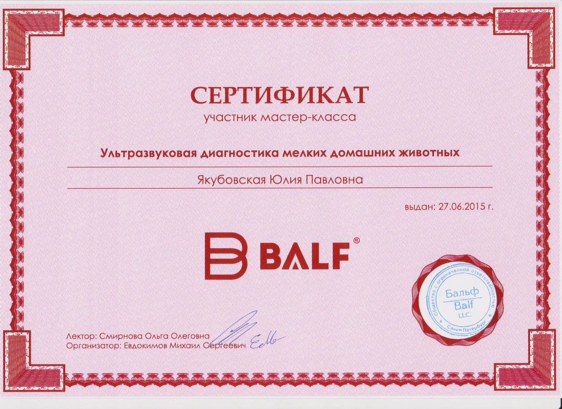 Документ или сертификат