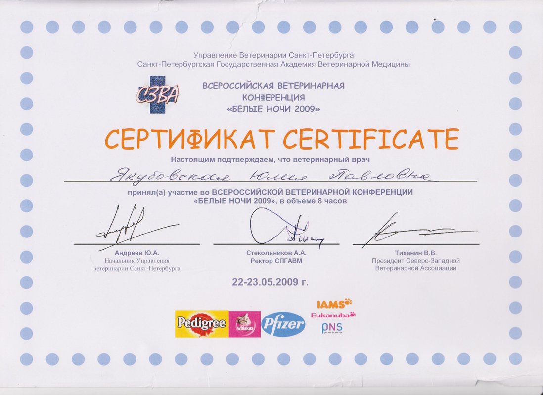 Документ или сертификат