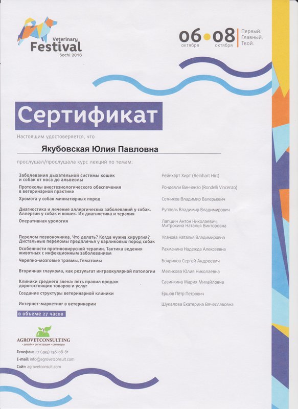 Документ или сертификат