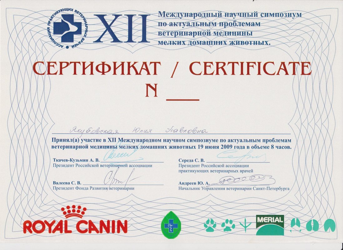 Документ или сертификат