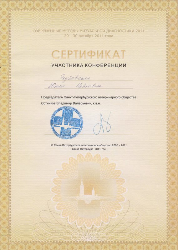 Документ или сертификат