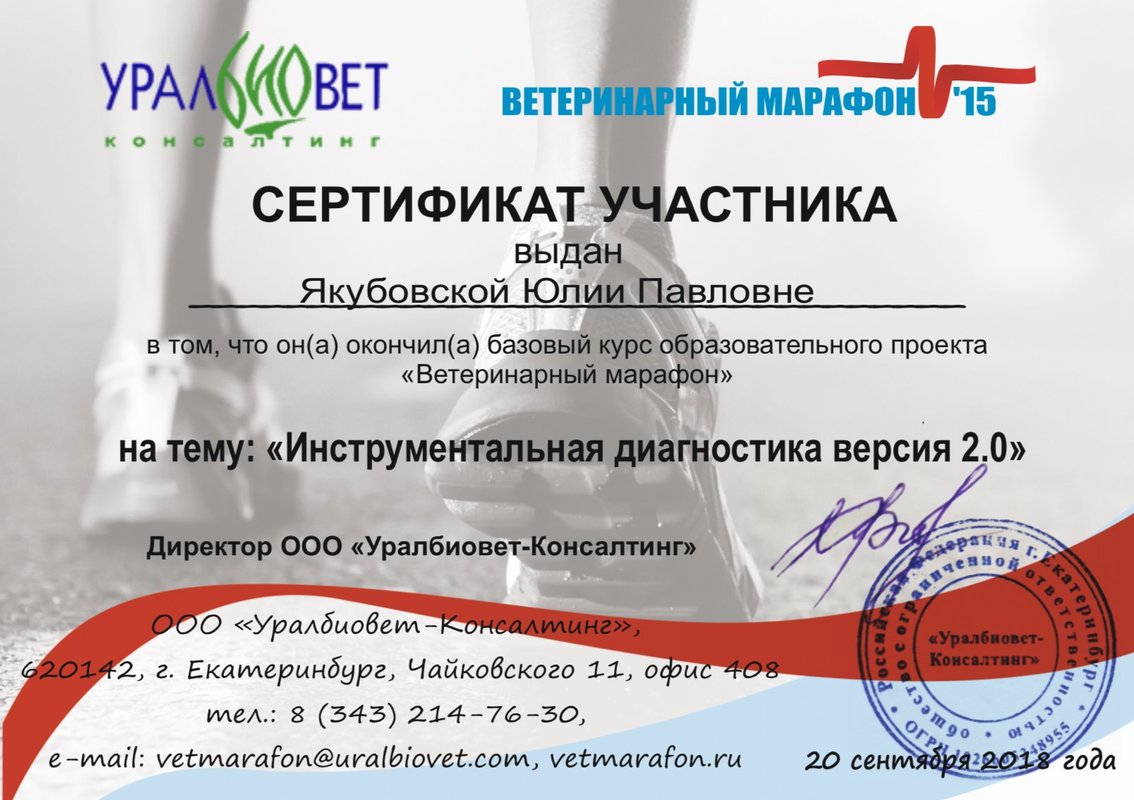 Документ или сертификат