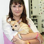 Фото врача Сенникова Анна Викторовна