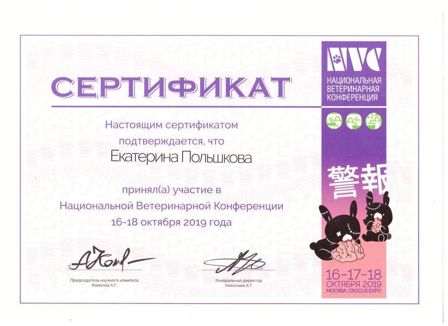 Документ или сертификат