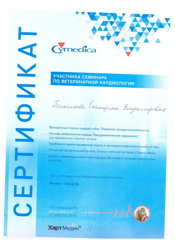 Документ или сертификат