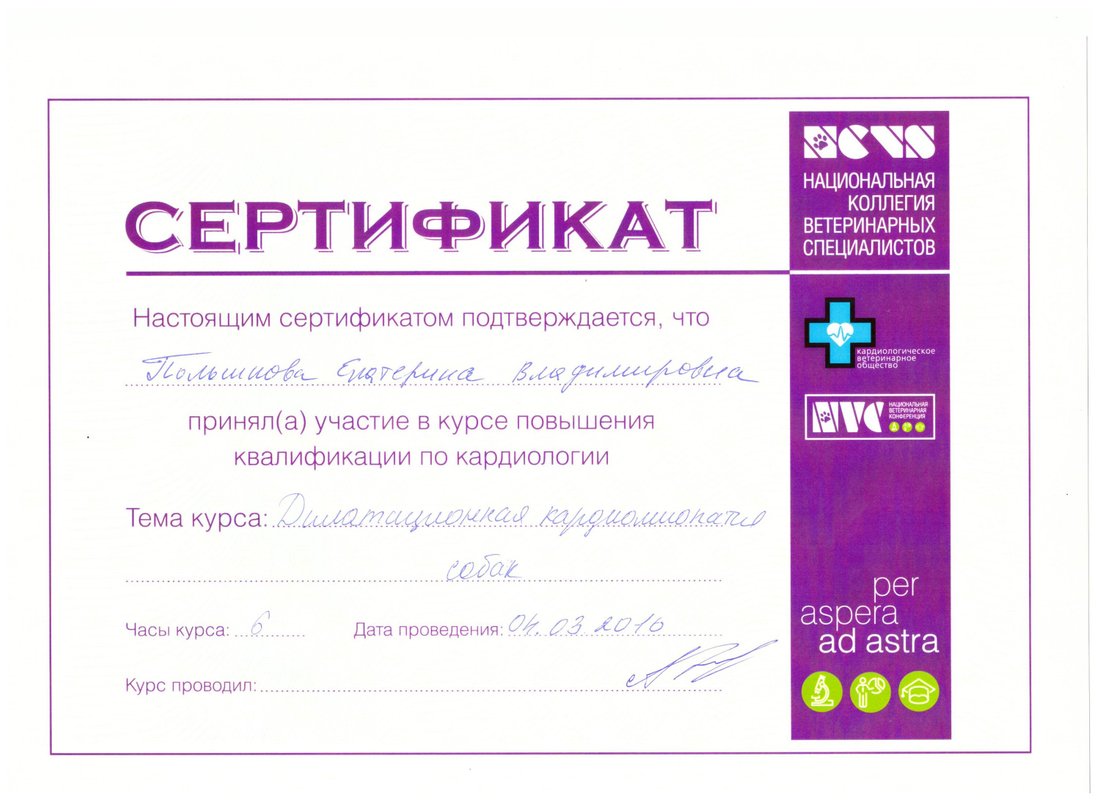 Документ или сертификат