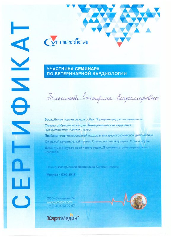 Документ или сертификат