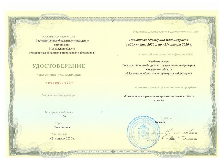 Документ или сертификат