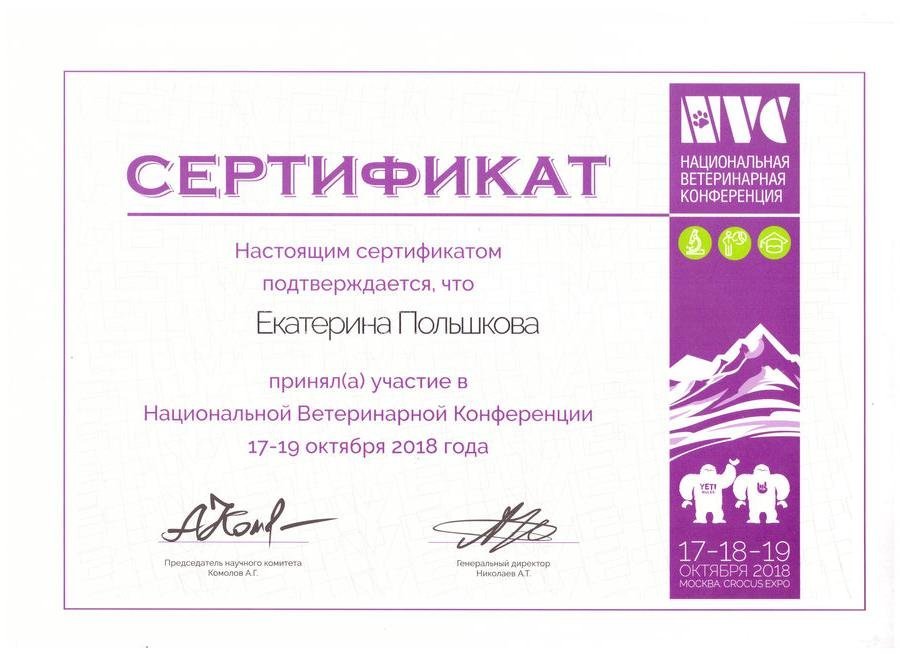 Документ или сертификат