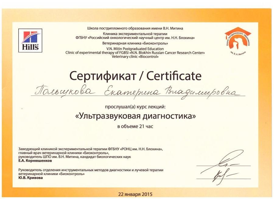 Документ или сертификат