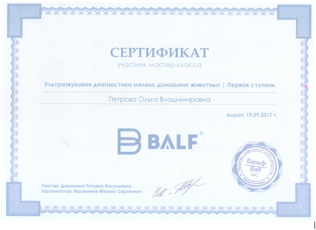 Документ или сертификат