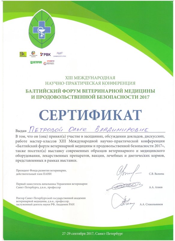 Документ или сертификат
