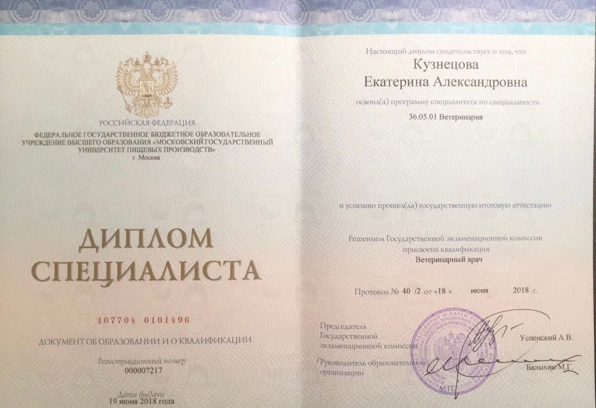 Документ или сертификат