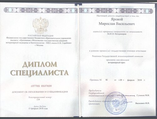 Документ или сертификат