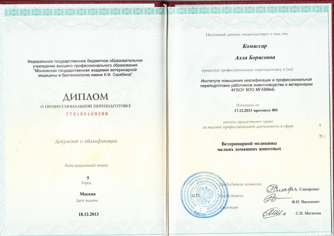 Документ или сертификат