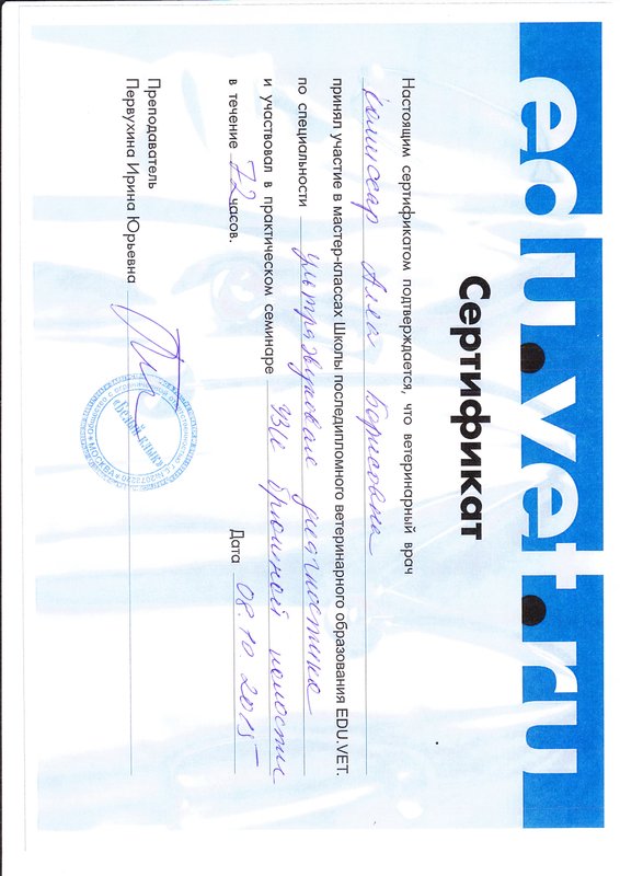 Документ или сертификат