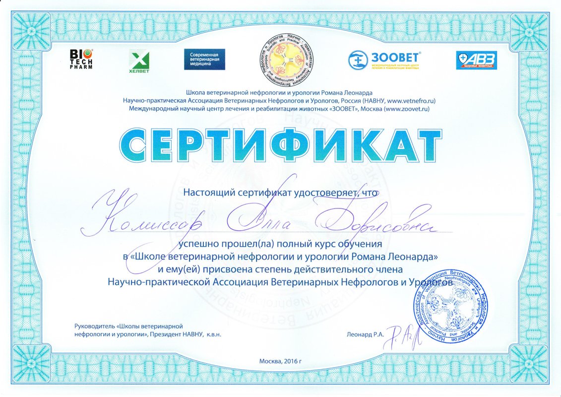 Документ или сертификат