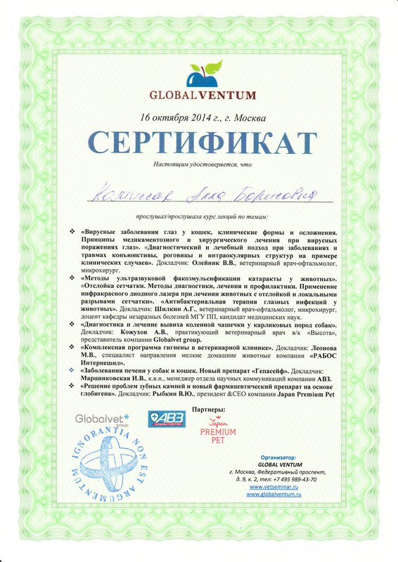Документ или сертификат