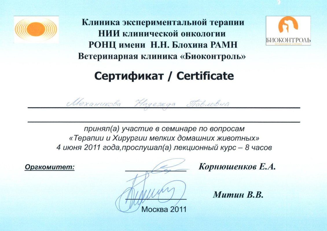 Документ или сертификат