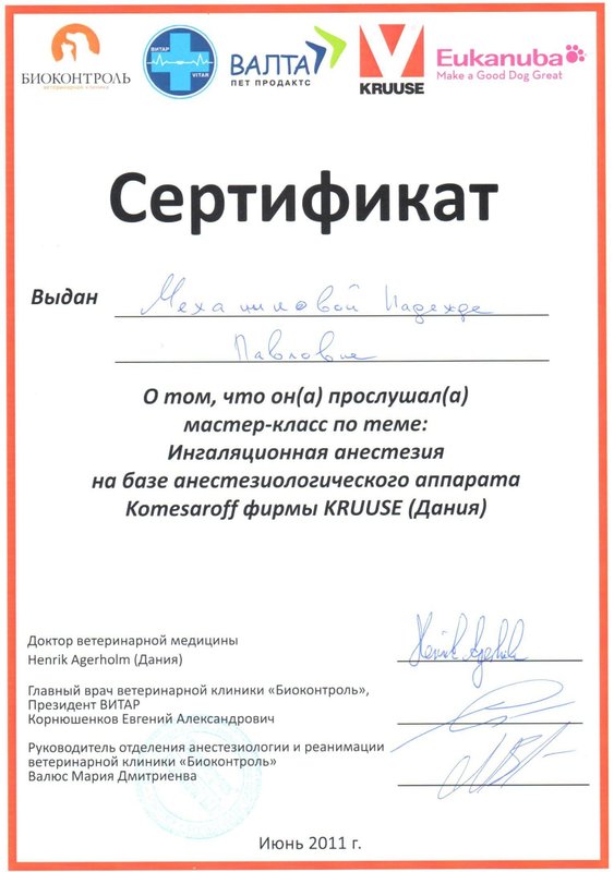 Документ или сертификат