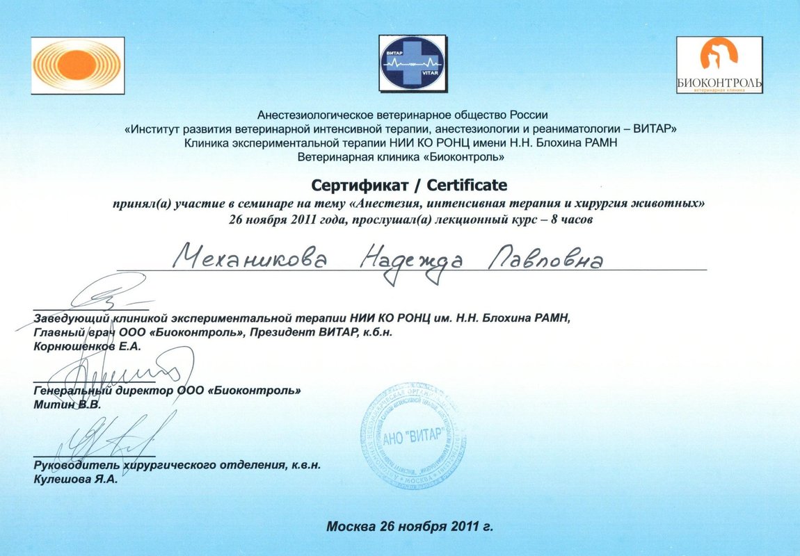 Документ или сертификат