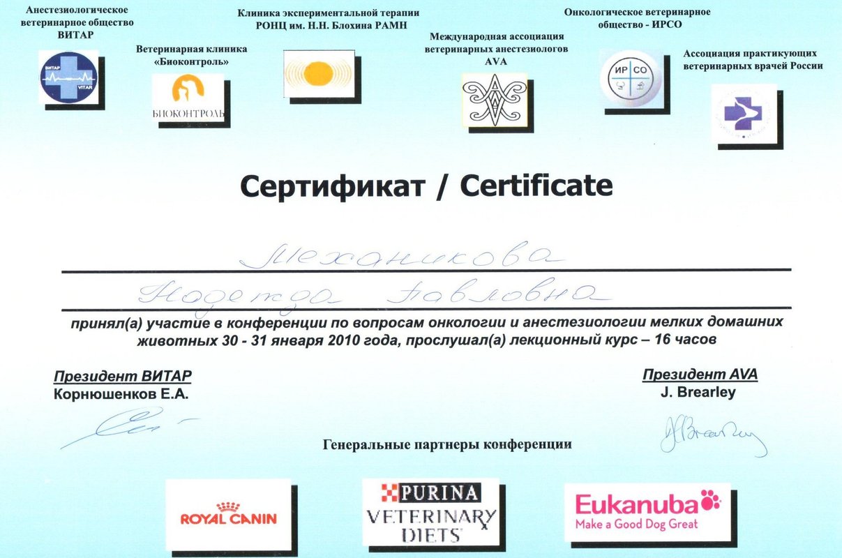 Документ или сертификат