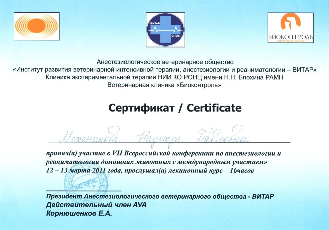 Документ или сертификат