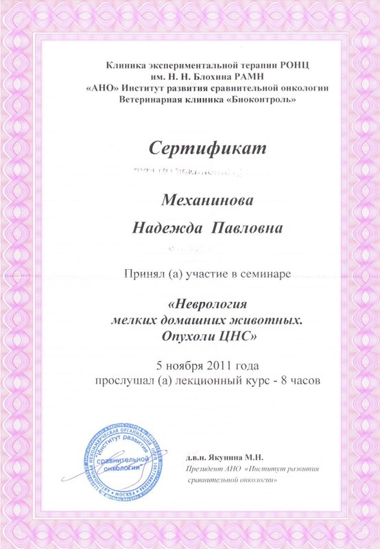 Документ или сертификат