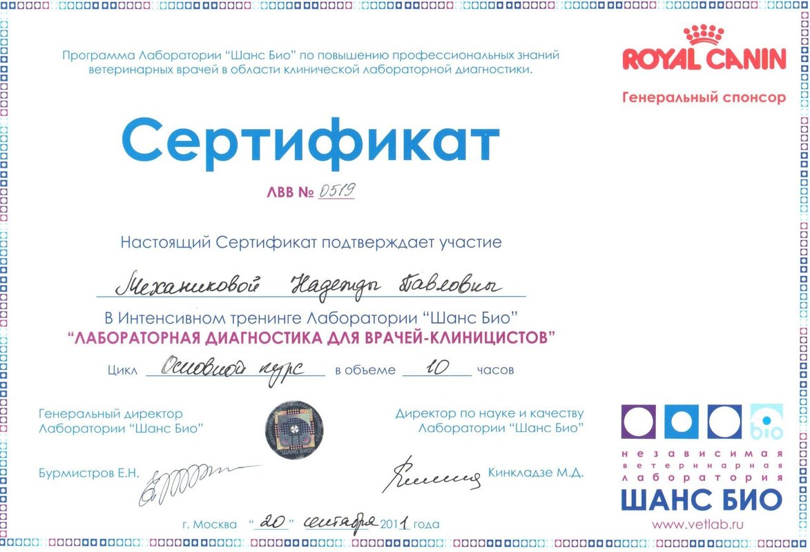 Документ или сертификат