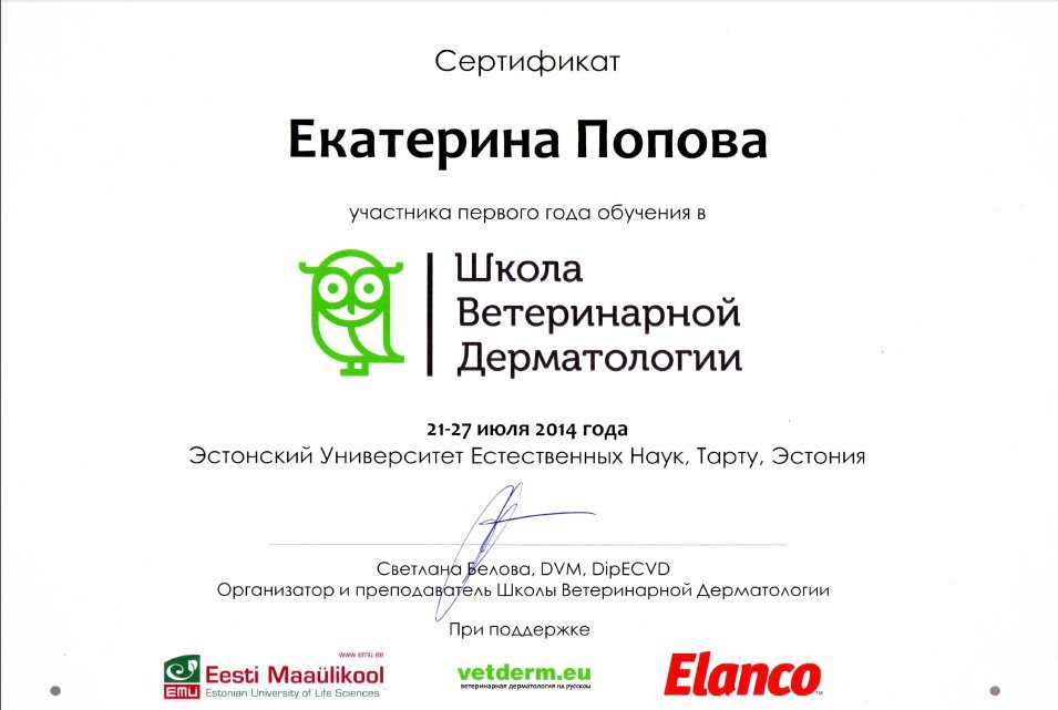 Документ или сертификат