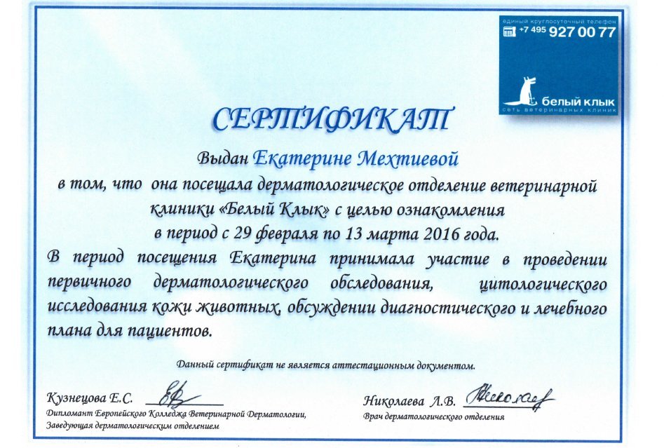 Документ или сертификат