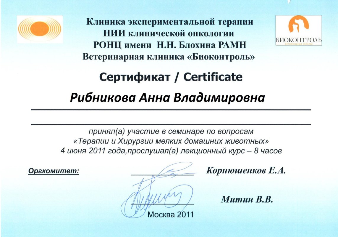 Документ или сертификат