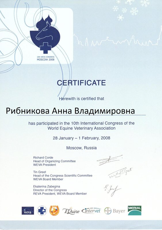 Документ или сертификат