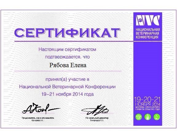 Документ или сертификат