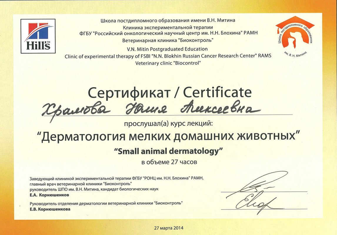 Документ или сертификат