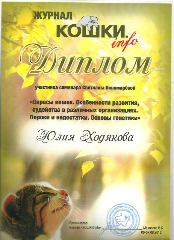 Документ или сертификат