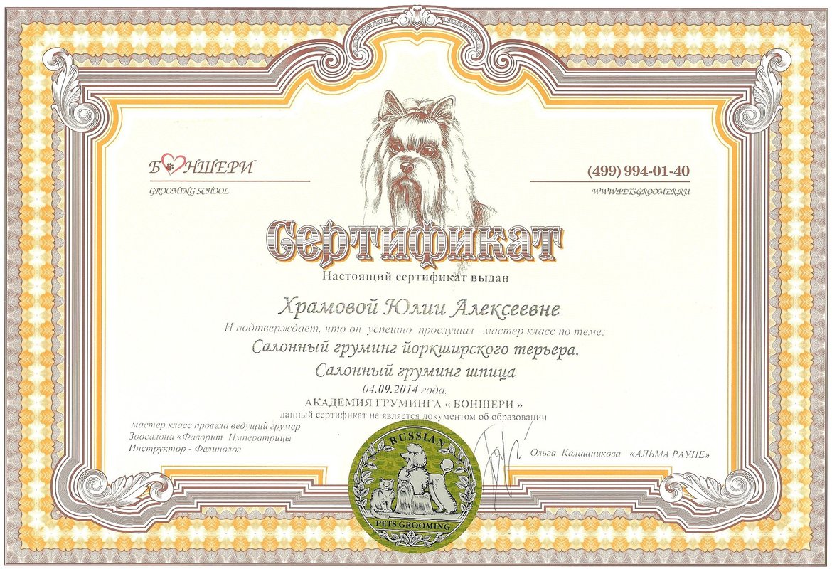 Документ или сертификат