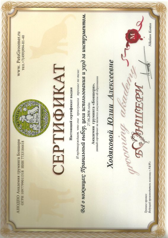 Документ или сертификат