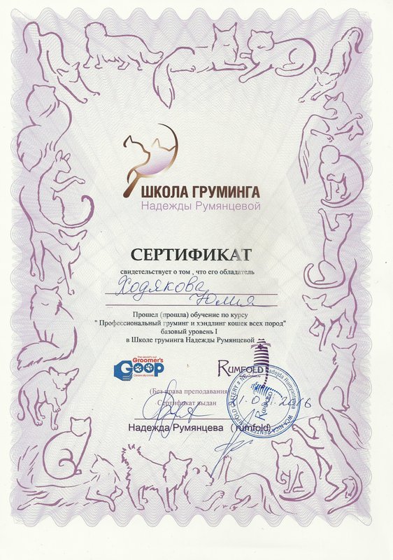Документ или сертификат