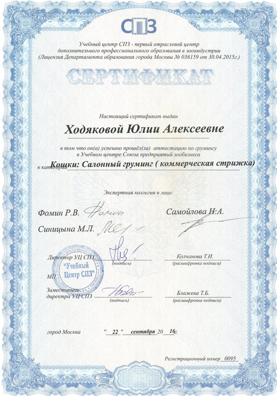 Документ или сертификат