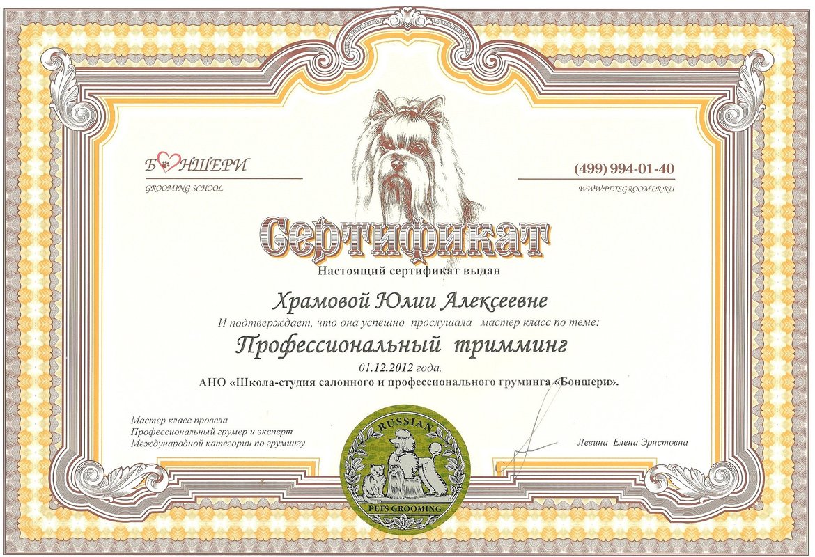 Документ или сертификат