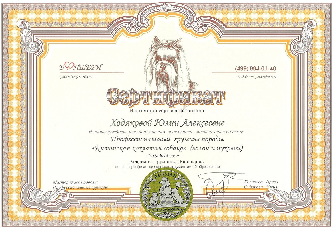 Документ или сертификат