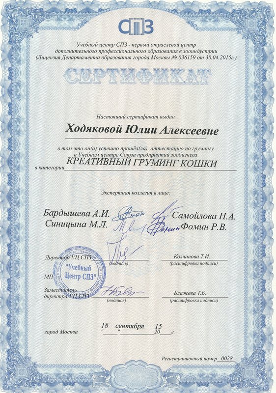Документ или сертификат