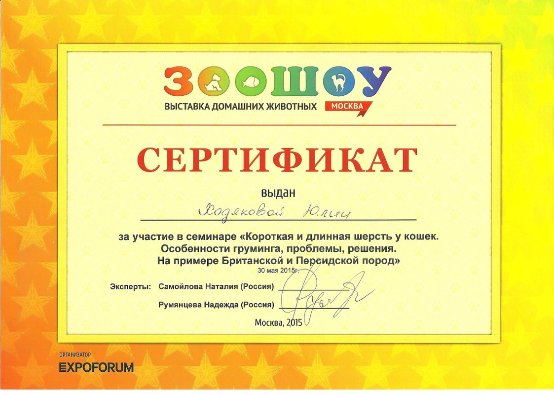 Документ или сертификат