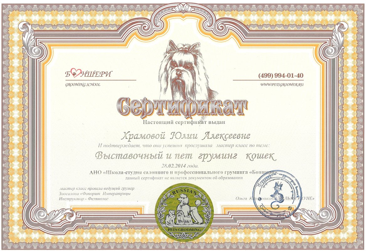 Документ или сертификат