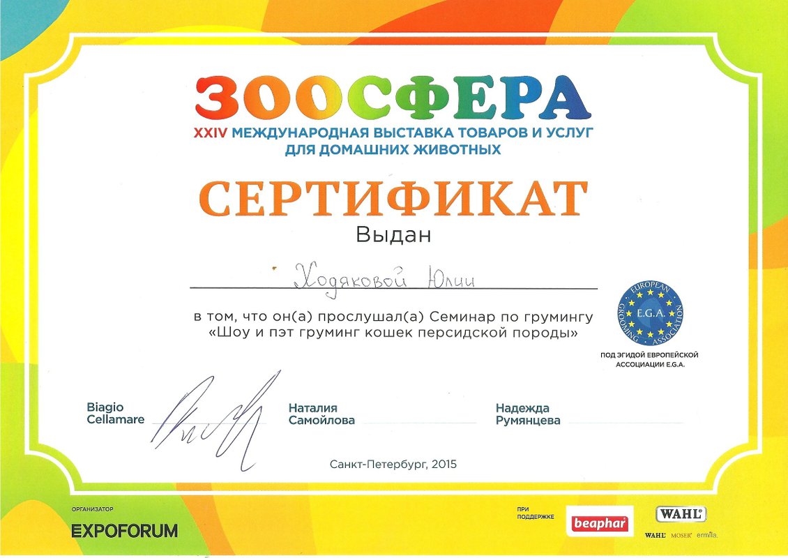Документ или сертификат