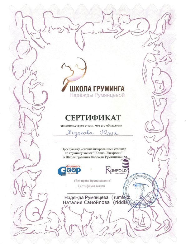 Документ или сертификат