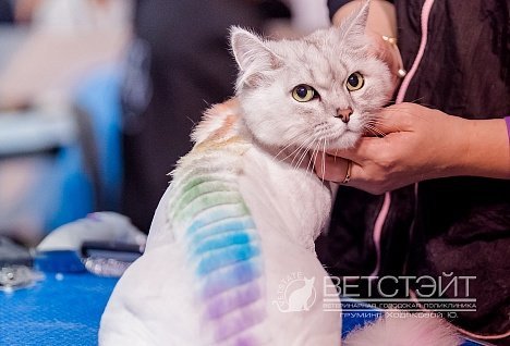 Фото врача