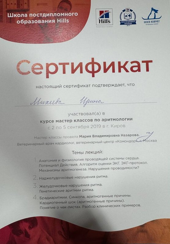Документ или сертификат